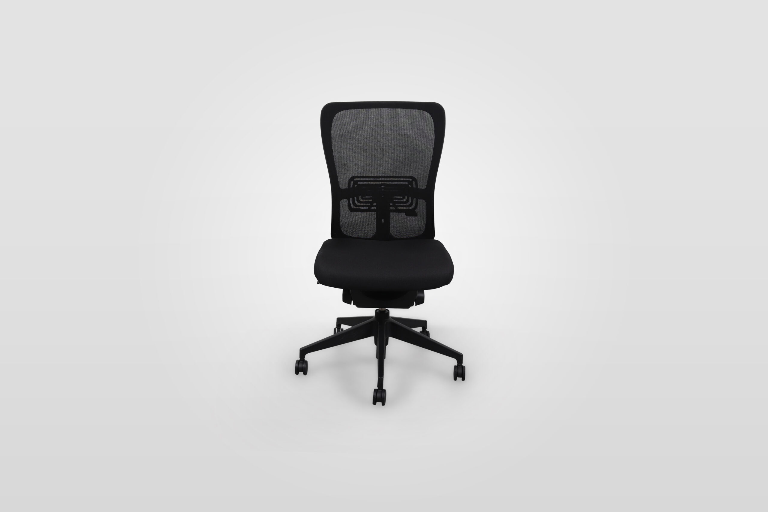 Zody Ergonomic Task Chair Without Arms