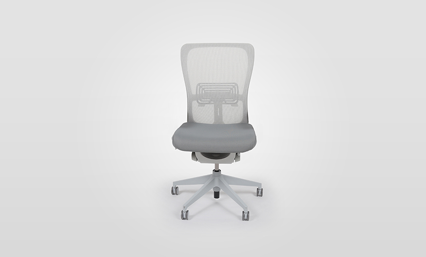 Zody Ergonomic Task Chair Without Arms