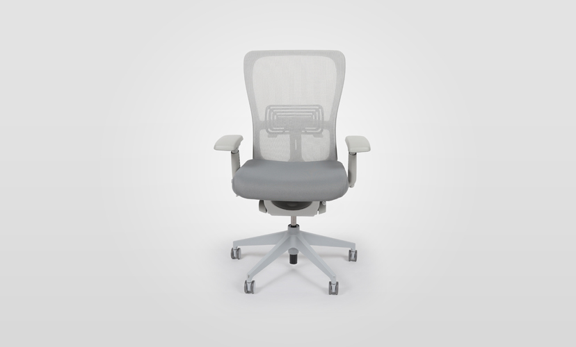 Zody Ergonomic Task Chair