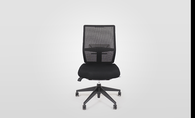 Aloha Ergonomic Task Chair Without Arms