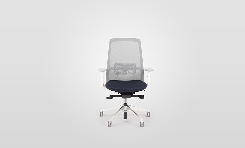 Soji Ergonomic Task Chair